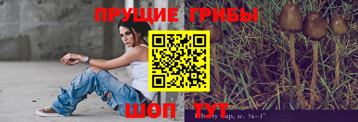 Псилоцибиновые грибы мухоморы Шатура